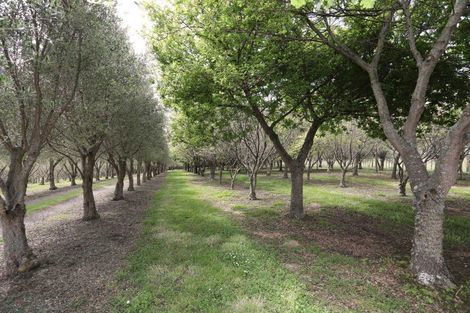 Photo of property in 466 Jeffersons Line, Marton, 4788