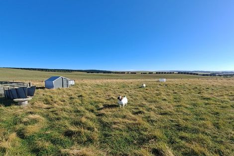 Photo of property in 583 Coast Road, Toko Mouth, Kaitangata, 9282