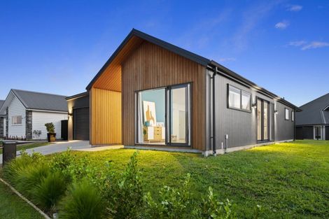 Photo of property in 43 Te Paea Avenue, Karaka, 2124