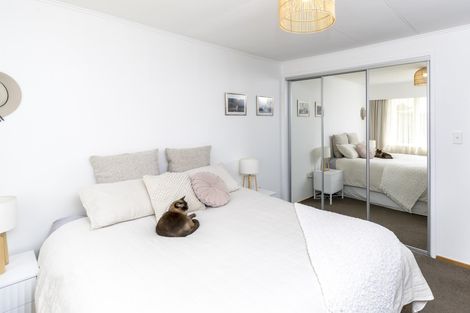 Photo of property in 151 Limbrick Street, Terrace End, Palmerston North, 4410