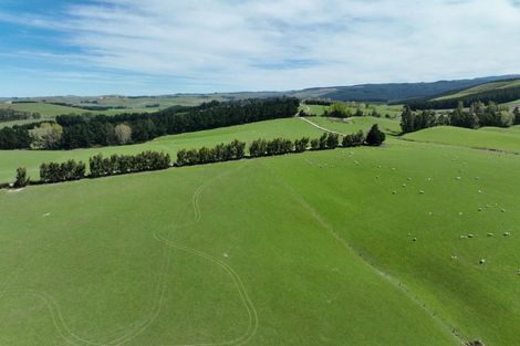 Photo of property in 1446a Clydevale Road, Clydevale, 9274