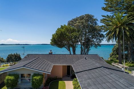 Photo of property in 41 Woods Avenue, Matua, Tauranga, 3110