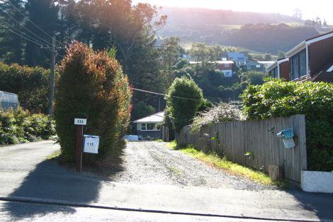 Photo of property in 115 Wakari Road, Helensburgh, Dunedin, 9010