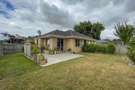 Photo of property in 13 Burmester Place, Morrinsville, 3300
