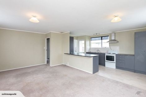 Photo of property in 45 Puriri Street, Nawton, Hamilton, 3200