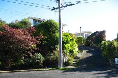 Photo of property in 56 Oakwood Avenue, Maryhill, Dunedin, 9011