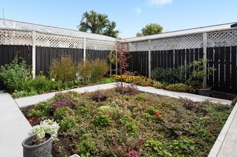 Photo of property in 11c Arundel Street, Tauranga, 3110