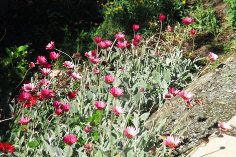 Photo of property in 306 Downs Road, Geraldine Downs, Geraldine, 7991