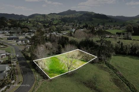 Photo of property in 20 Somerset Street, Waihi, 3610