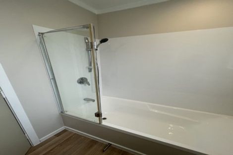 Photo of property in 11b Lerwick Terrace, Melrose, Wellington, 6023