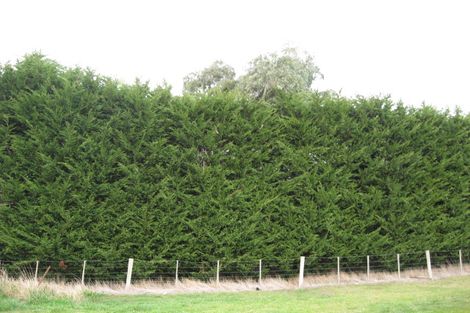 Photo of property in 112 Edinburgh Street, Waikouaiti, 9510