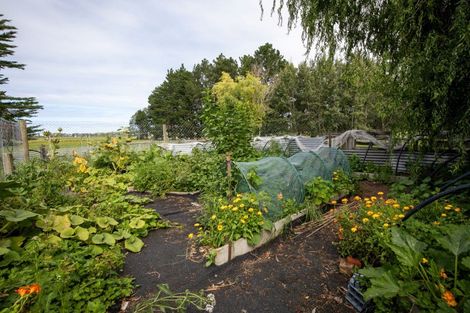 Photo of property in 657 Domett Road, Domett, Cheviot, 7382