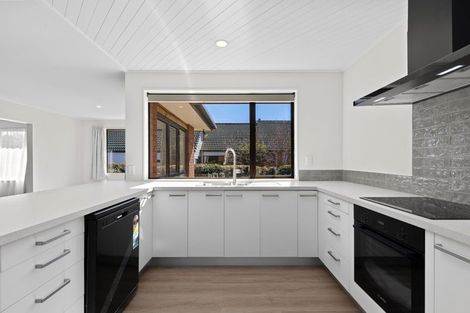 Photo of property in 223 Redwood Street, Witherlea, Blenheim, 7201