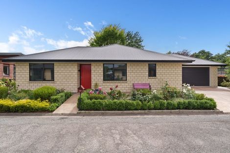 Photo of property in 49 Daniell Street, Solway, Masterton, 5810