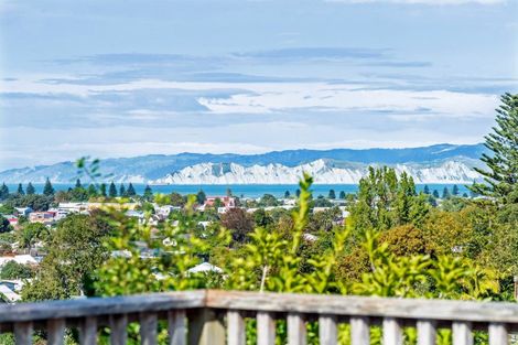 Photo of property in 197 Russell Street, Whataupoko, Gisborne, 4010