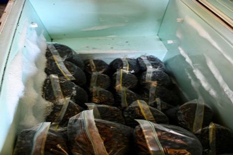 Photo of property in 1/19 Glasseye Drive, Little Wanganui, Karamea, 7893