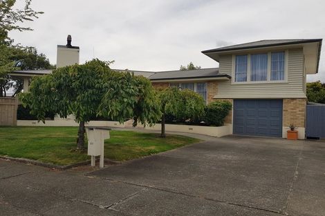 Photo of property in 41 Richmond Avenue, Takaro, Palmerston North, 4410