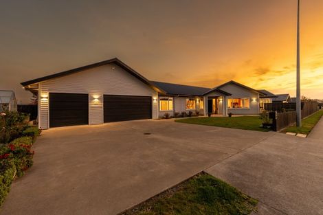 Photo of property in 41 Port Street West, Feilding, 4702