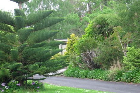 Photo of property in 65 Gilchrist Street, Te Aroha, 3320