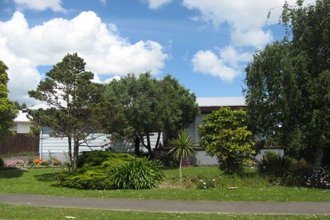 Photo of property in 29 Feasegate Street, Manurewa, Auckland, 2102
