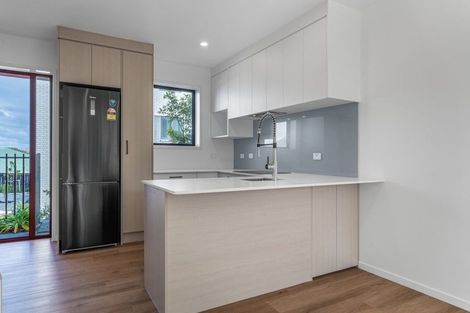 Photo of property in 14 Tupuke Lane, Mount Roskill, Auckland, 1041