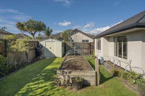 Photo of property in 23 Inverness Drive, Pyes Pa, Tauranga, 3112