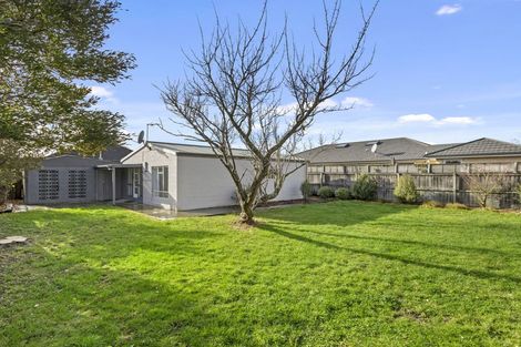 Photo of property in 123 Harewood Road, Papanui, Christchurch, 8053