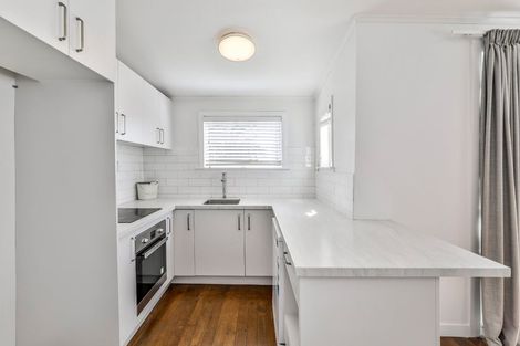 Photo of property in 93 Williamson Avenue, Grey Lynn, Auckland, 1021