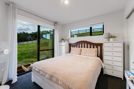 Photo of property in 312 Pukapuka Road, Pohuehue, Warkworth, 0983