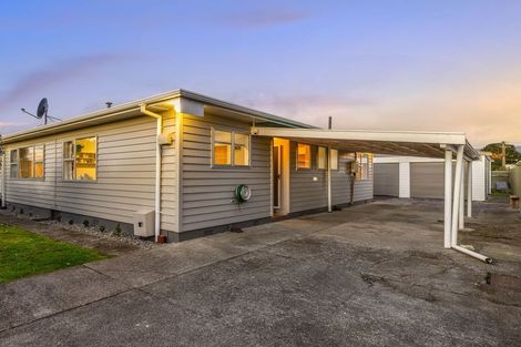 Photo of property in 52a Winchester Street, Levin, 5510