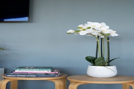 Photo of property in 158 Mcnulty Road, Cromwell, 9310