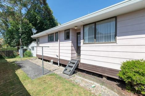 Photo of property in 45 Alison Street, Hamilton Lake, Hamilton, 3204