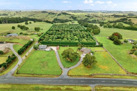 Photo of property in 105 Tauraroa Road, Maungakaramea, Whangarei, 0178