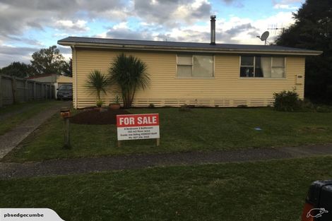 Photo of property in 21 Runuku Grove, Turangi, 3334