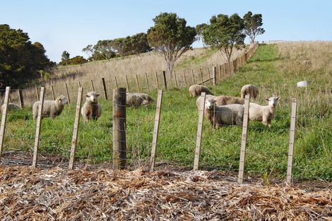 Photo of property in 598a Oneriri Road, Kaiwaka, 0573