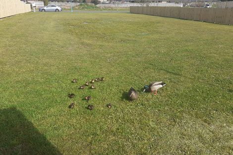 Photo of property in 5 Oakland Place, Ngongotaha, Rotorua, 3010