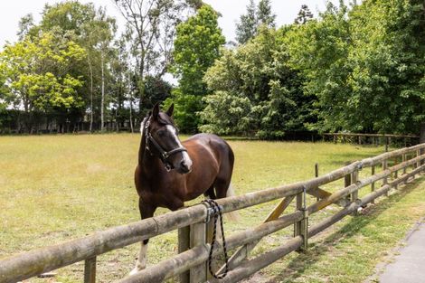 Photo of property in 1320 Pakowhai Road, Frimley, Hastings, 4120