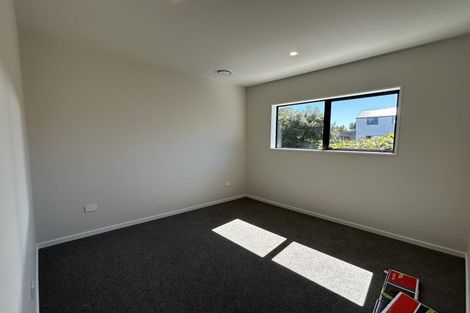 Photo of property in 45b Ryan Street, Phillipstown, Christchurch, 8011