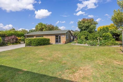 Photo of property in 351 Ross Street, Pirongia, 3802