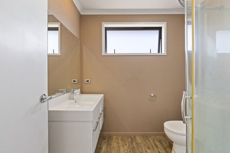 Photo of property in 17 Stadium Lane, Whitiora, Hamilton, 3200