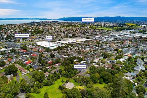 Photo of property in 60 Hillsborough Road, Hillsborough, Auckland, 1042