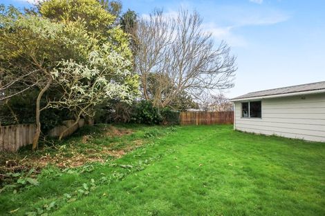 Photo of property in 20 Menzies Place, Paeroa, 3600