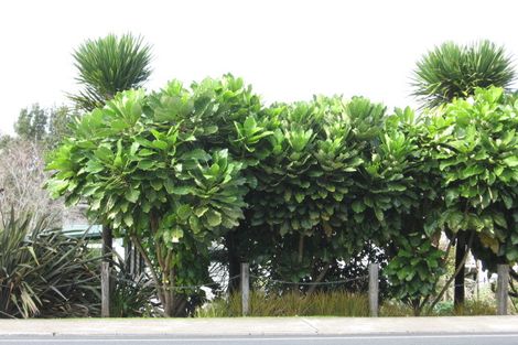 Photo of property in 144 Main Sh25 Road, Tairua, 3508