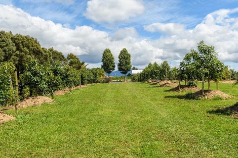 Photo of property in 196 Pahoia Road, Whakamarama, Tauranga, 3172