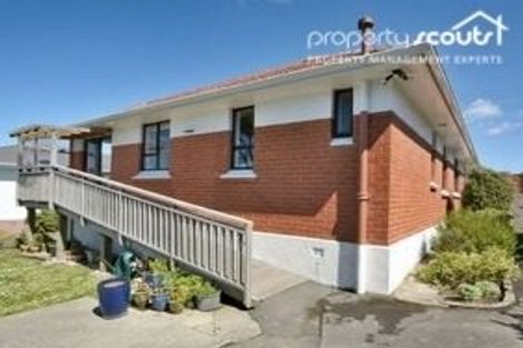 Photo of property in 276 Highcliff Road, Shiel Hill, Dunedin, 9013