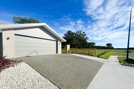 Photo of property in 21 Lorimer Street, Woodend, 7610