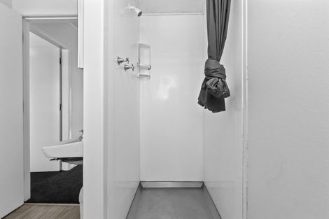 Photo of property in 45 York Street, Hamilton East, Hamilton, 3216