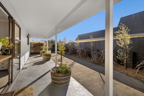 Photo of property in 24 Ledger Avenue, Motueka, 7120