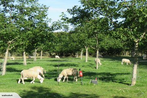 Photo of property in 556 Steffens Road, Starvation Hill, Oxford, 7495