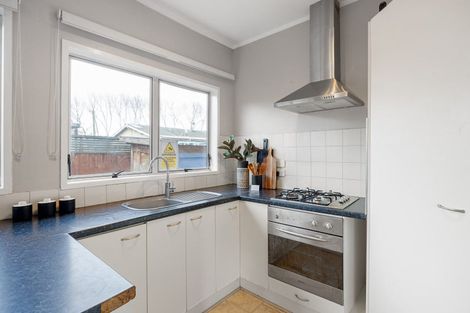 Photo of property in 115 Rimu Street, Maeroa, Hamilton, 3200